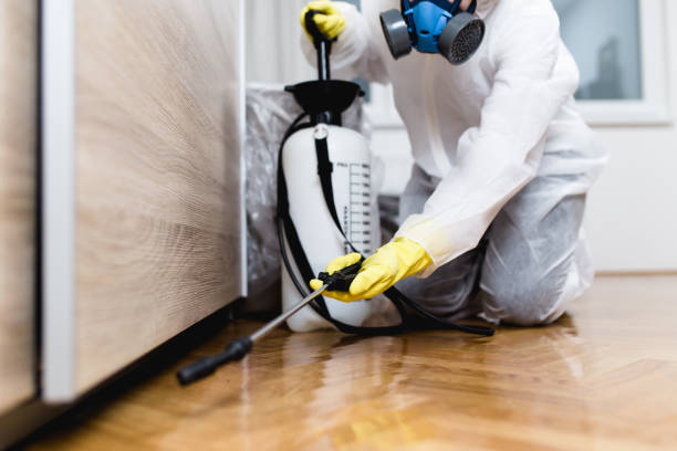 Best Best Pest Control Companies  in Seville, FL