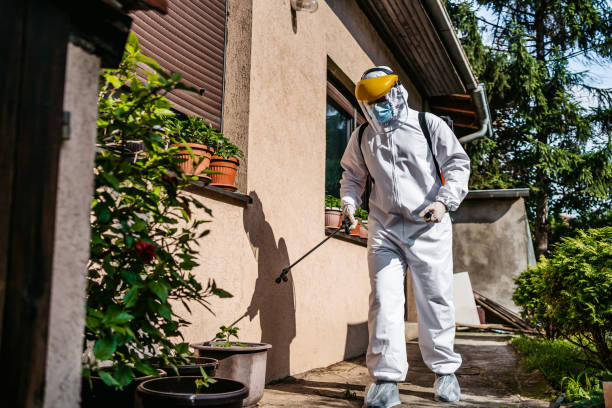 Best Pest Control Treatment  in Seville, FL