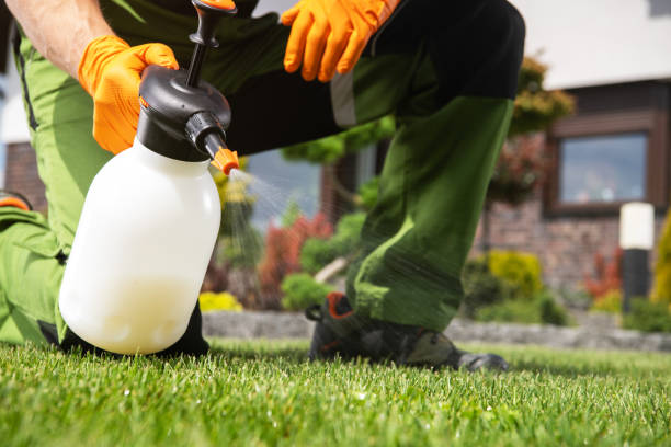 Best Residential Pest Control  in Seville, FL