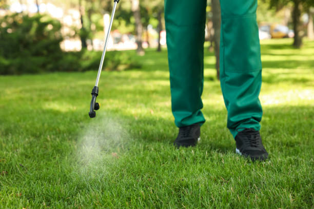Wildlife Control Services in Seville, FL