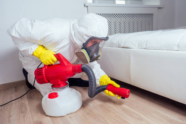 Flea Control Services in Seville, FL