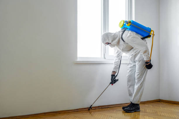 Best Exterminator Services  in Seville, FL