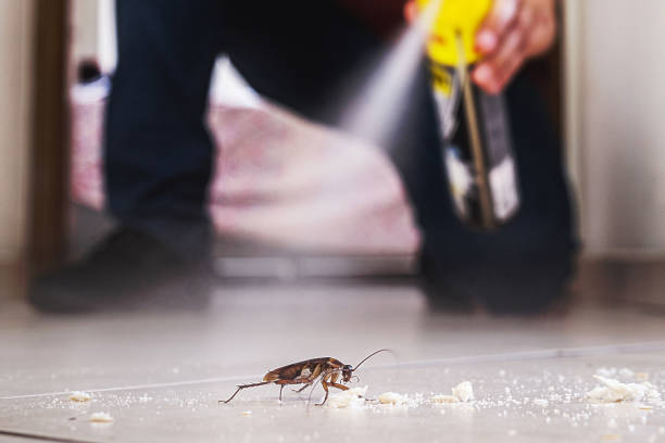 Best Bed Bug Extermination  in Seville, FL