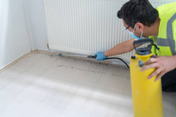 Best Ant Control Services  in Seville, FL